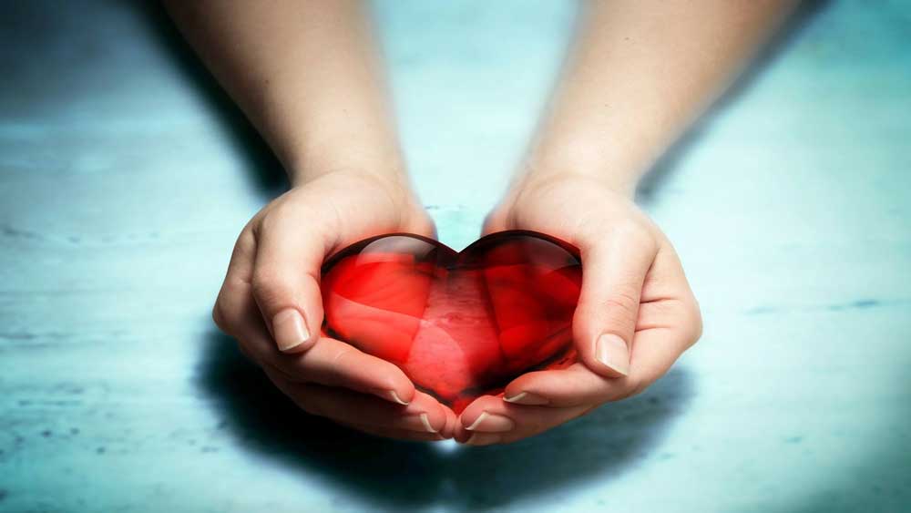 ویژگی موسسات خیریه معتبر
